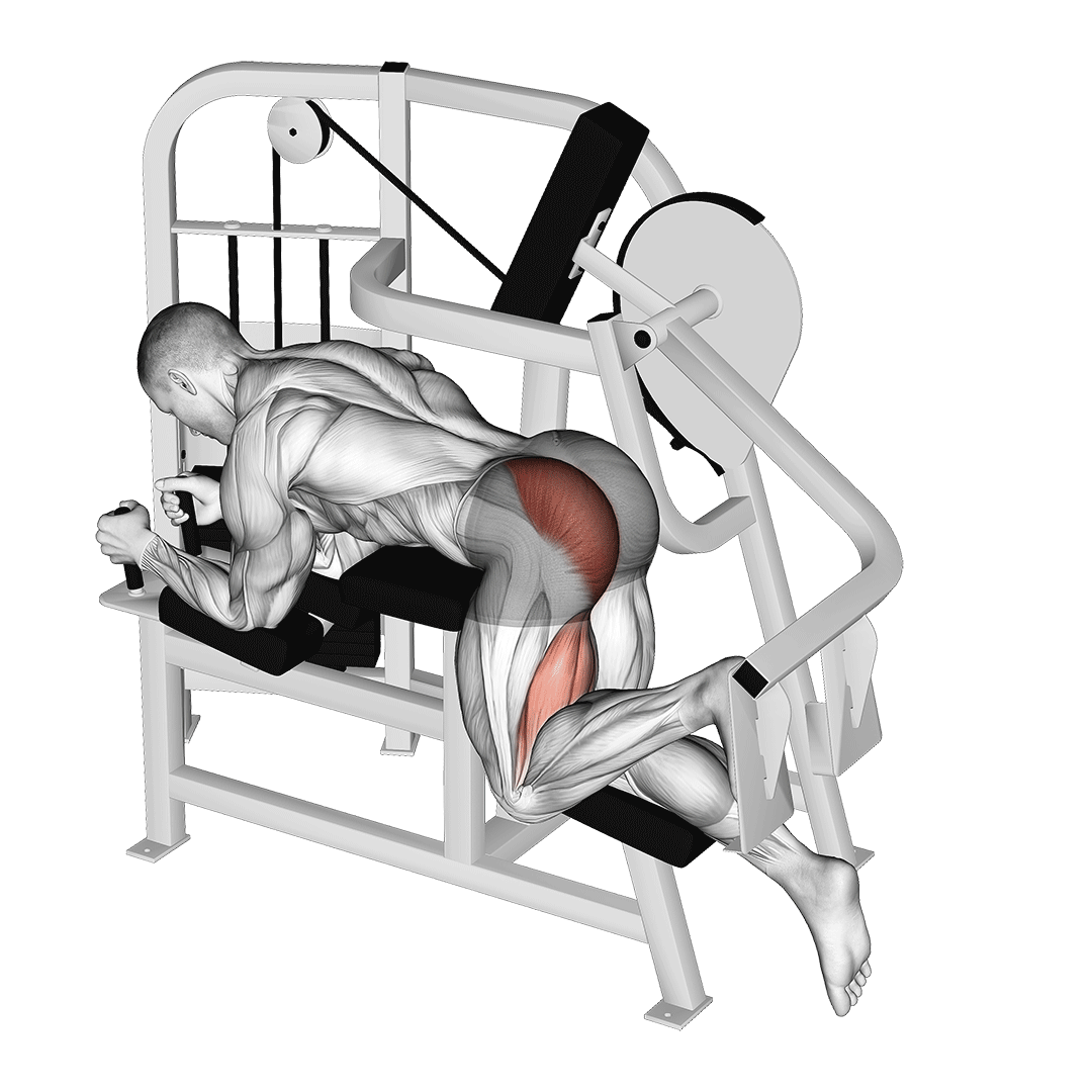 Lever Hip Extension V. 2 demonstration