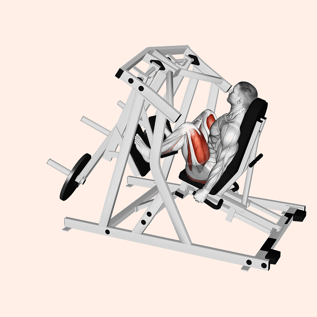 Lever Alternate Leg Press demo