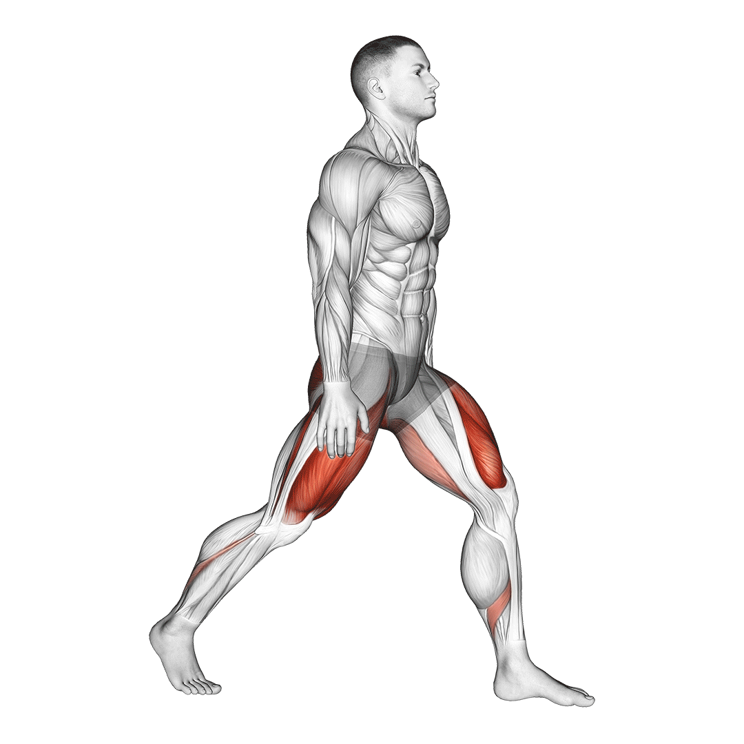 Split Squats demo