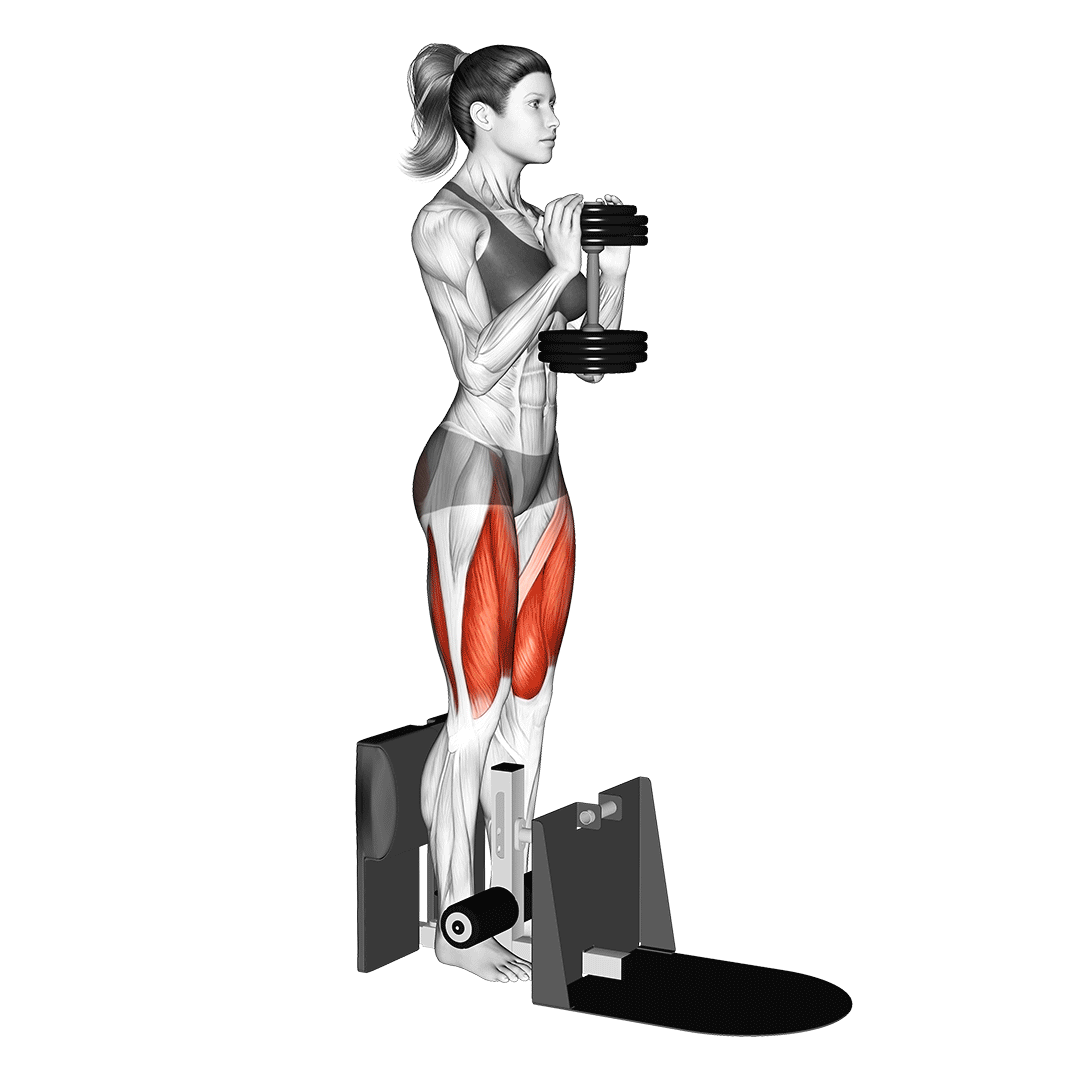 Dumbbell Supported Squat demo