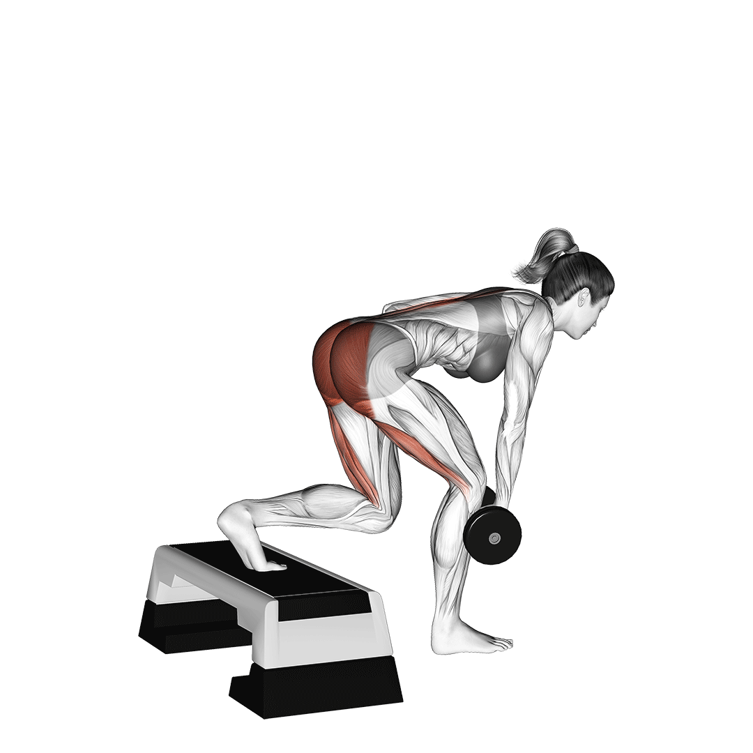 Dumbbell Single Leg Deadlift With Stepbox Support demonstration