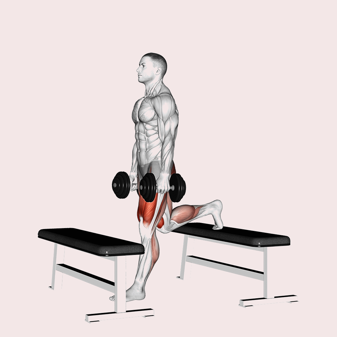 Dumbbell Step-Up Split Squat demo