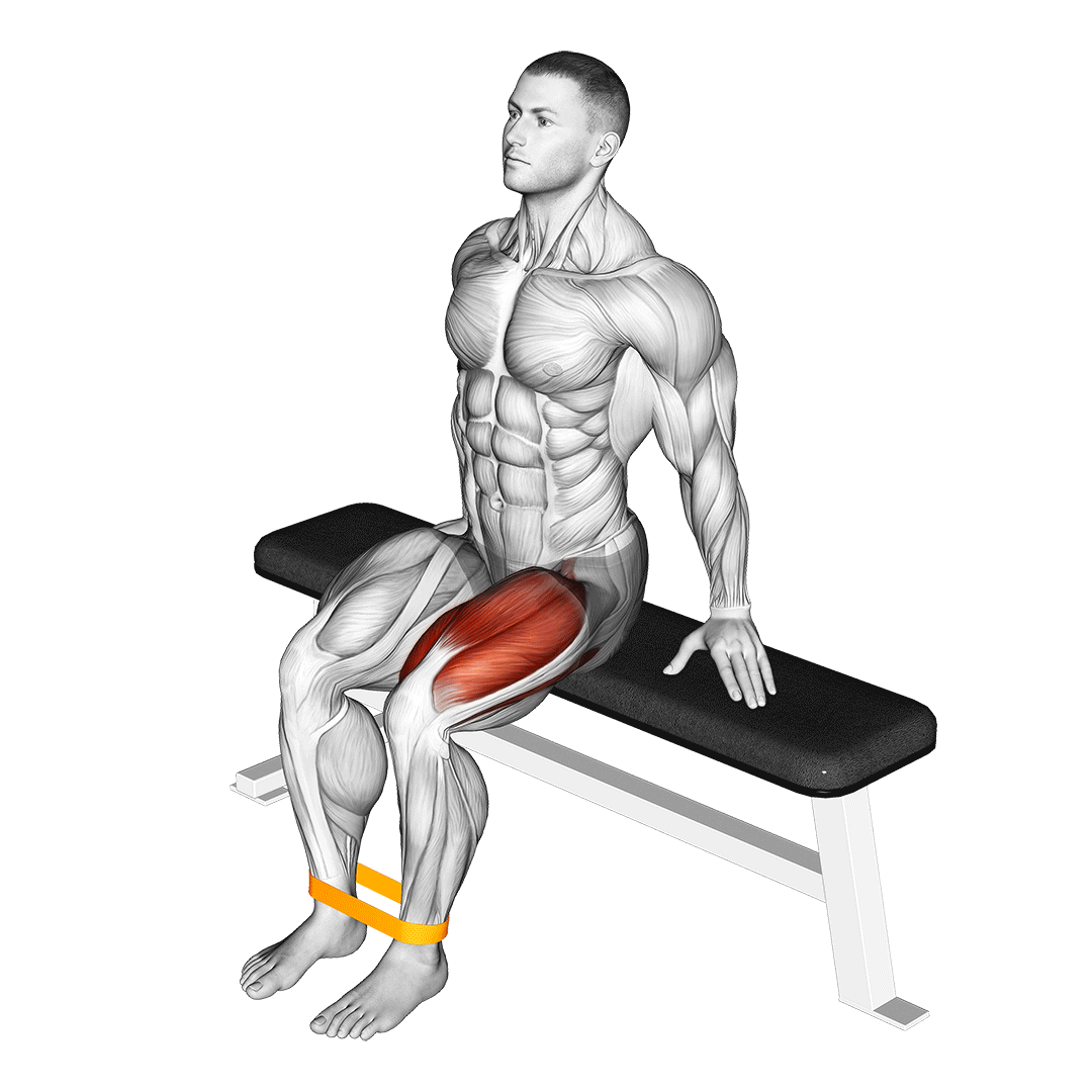 Resistance Band Leg Extension demo