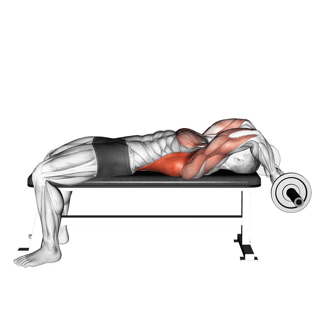 Ez Bar Lying Bent Arms Pullover demo