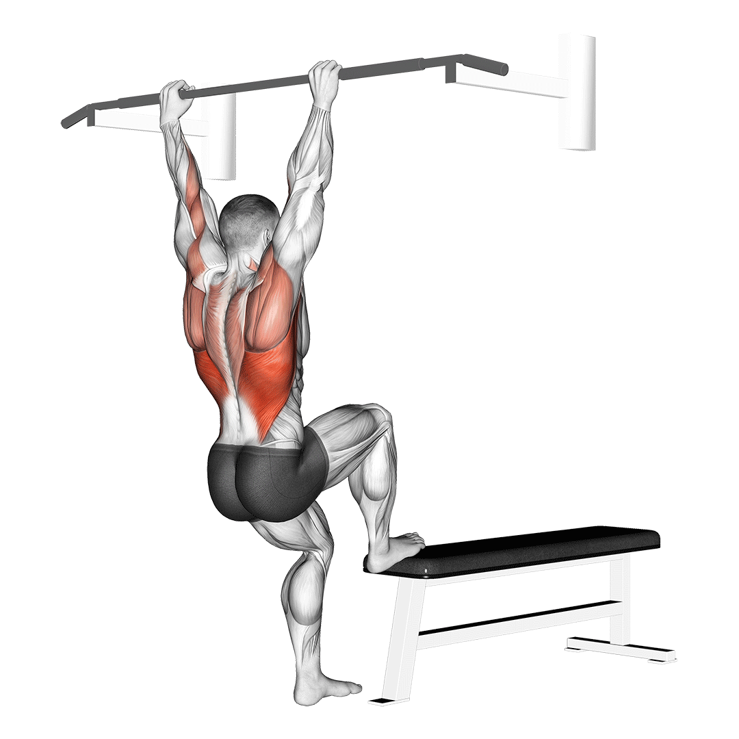 Bench Pull-Ups demo