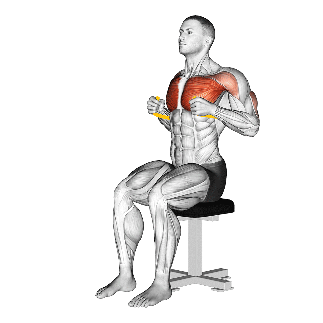Resistance Band Seated Chest Press demo