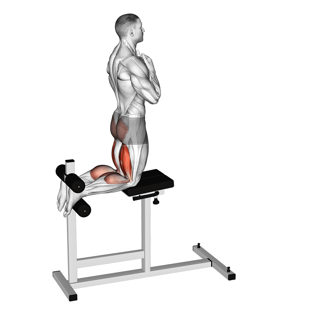 Glute-Ham Raise demo