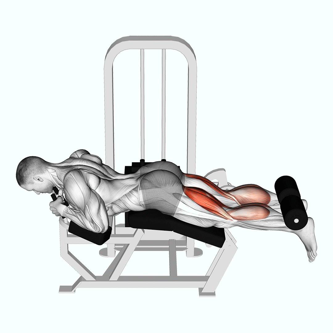 Lever Lying Two-One Leg Curl demo