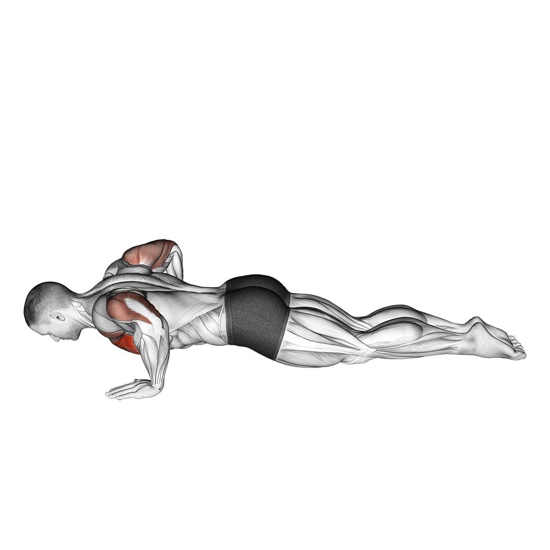 Kneeling Push-Up (Male) demonstration