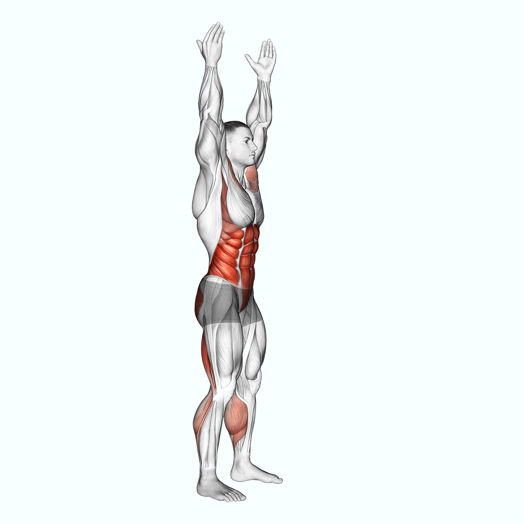 Arms Apart Circular Toe Touch (Male) demonstration