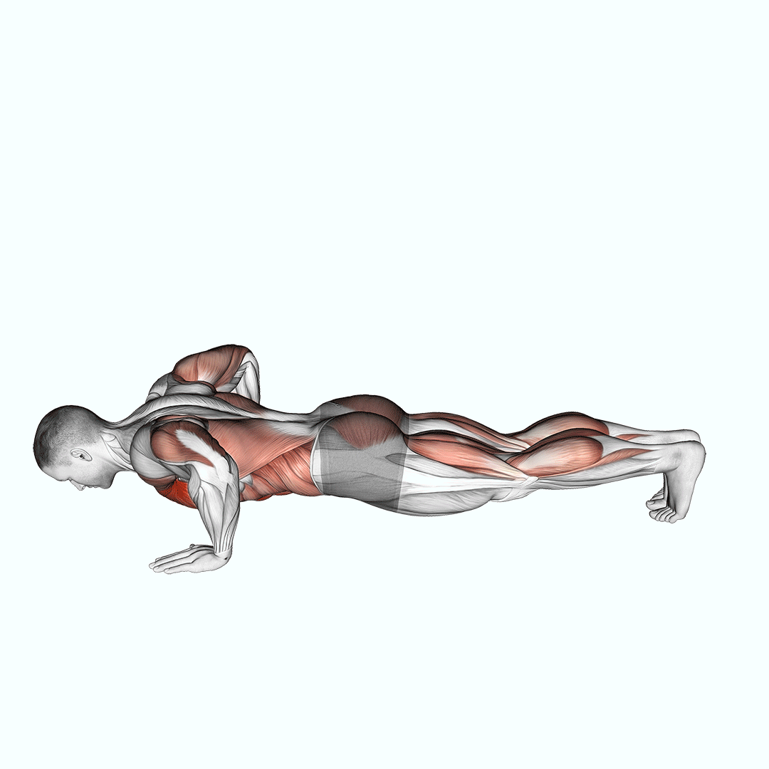 Modified Hindu Push-Up (Male) demonstration