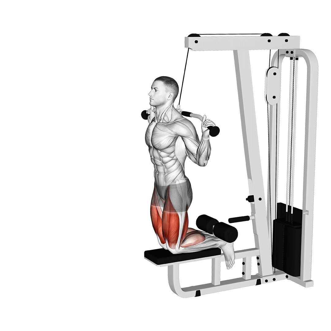 Cable Assisted Inverse Leg Curl demo