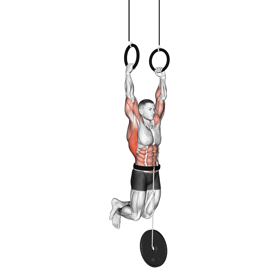 Weighted Muscle Up demonstration