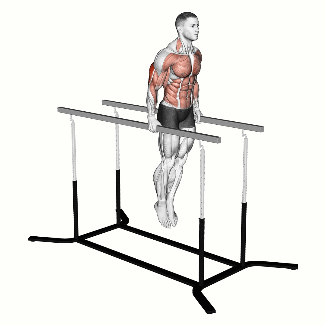 Elbow Dips demo
