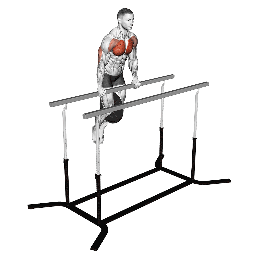 Weighted Straight Bar Dip demo