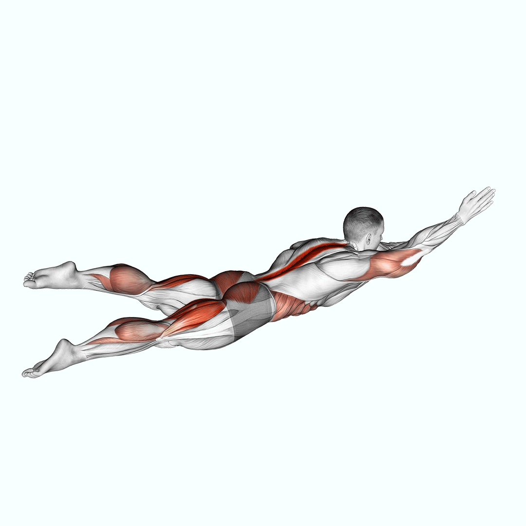 Swimmer Kicks V. 2 (Male) demonstration