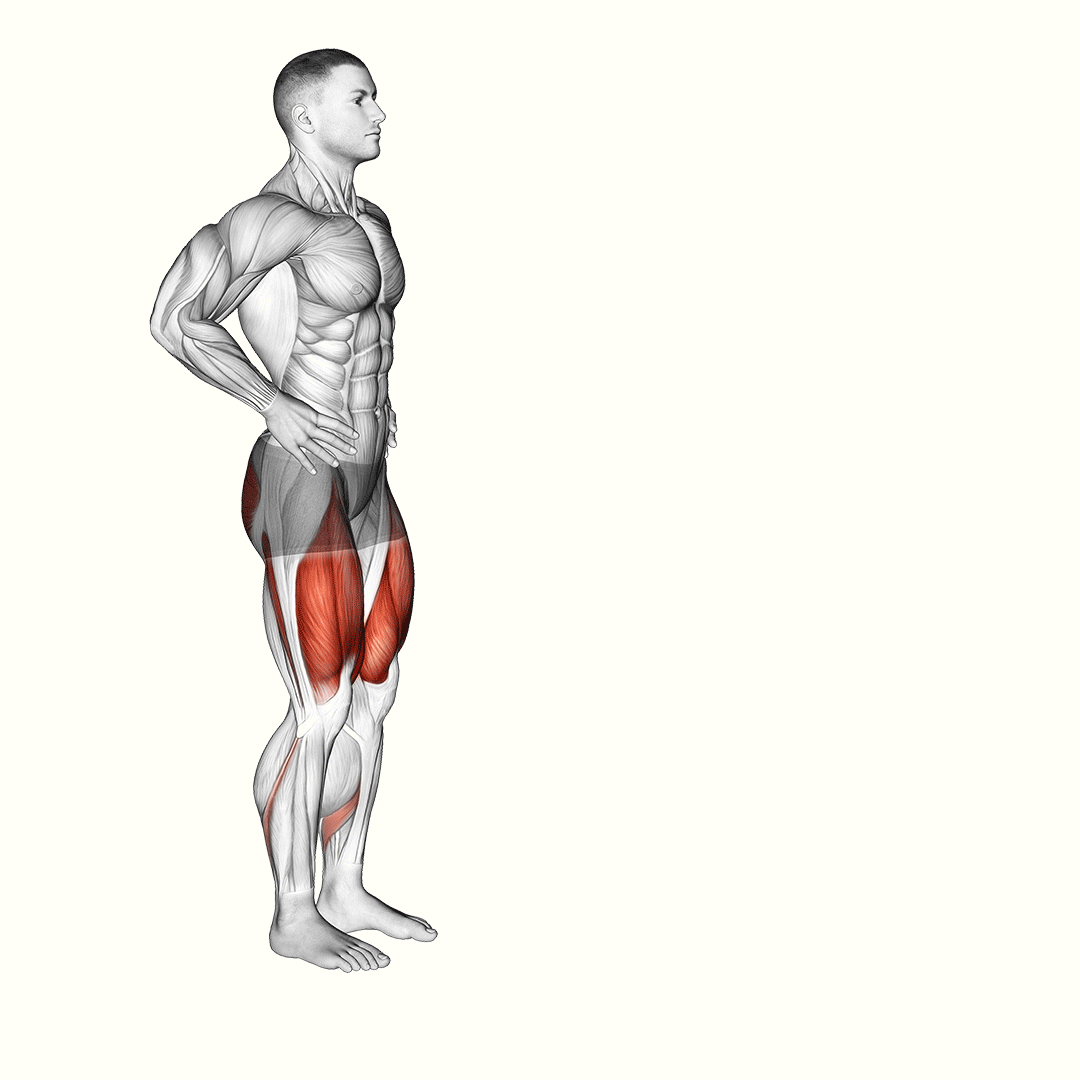 Forward Lunge (Male) demonstration