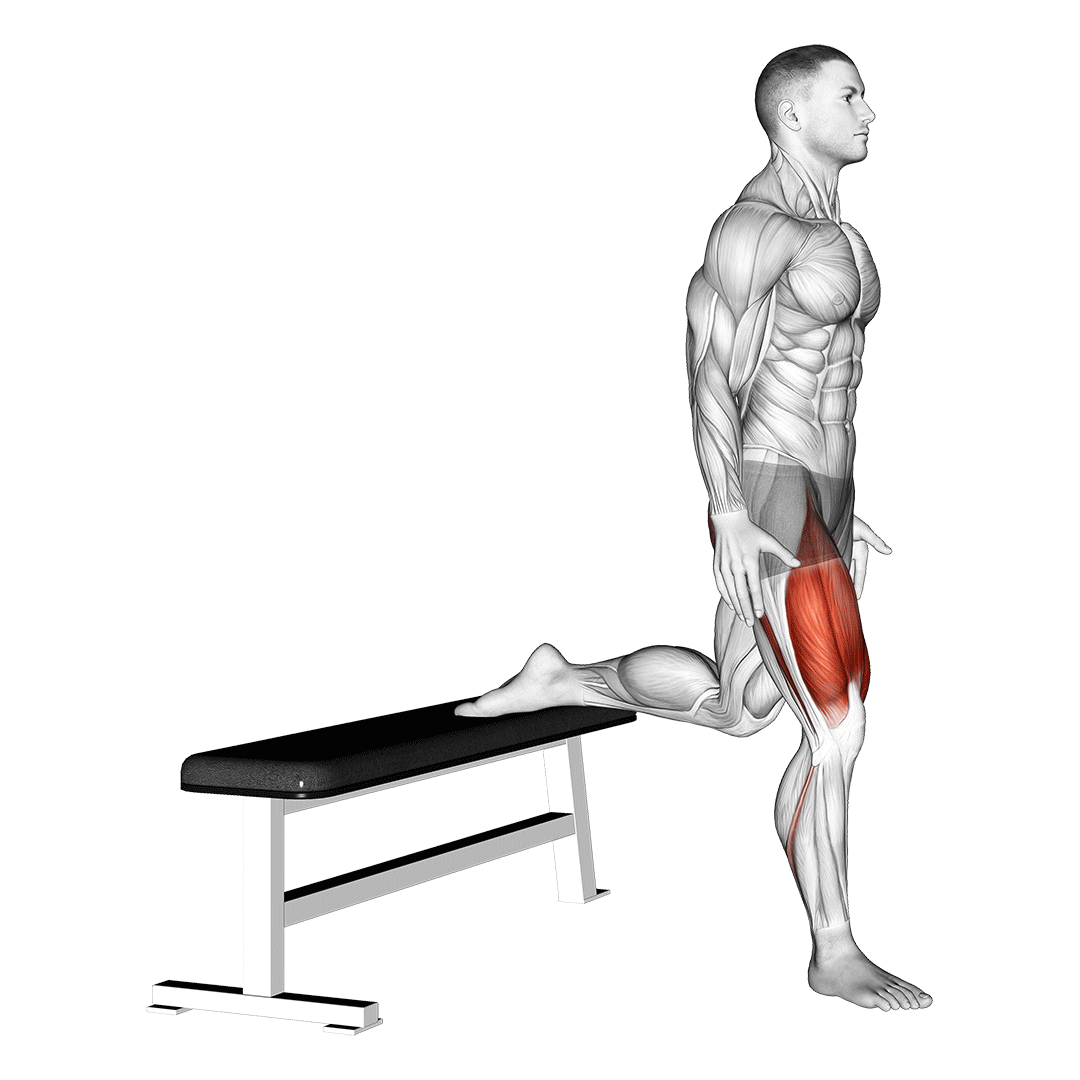 Quads (Bodyweight Squat) demo