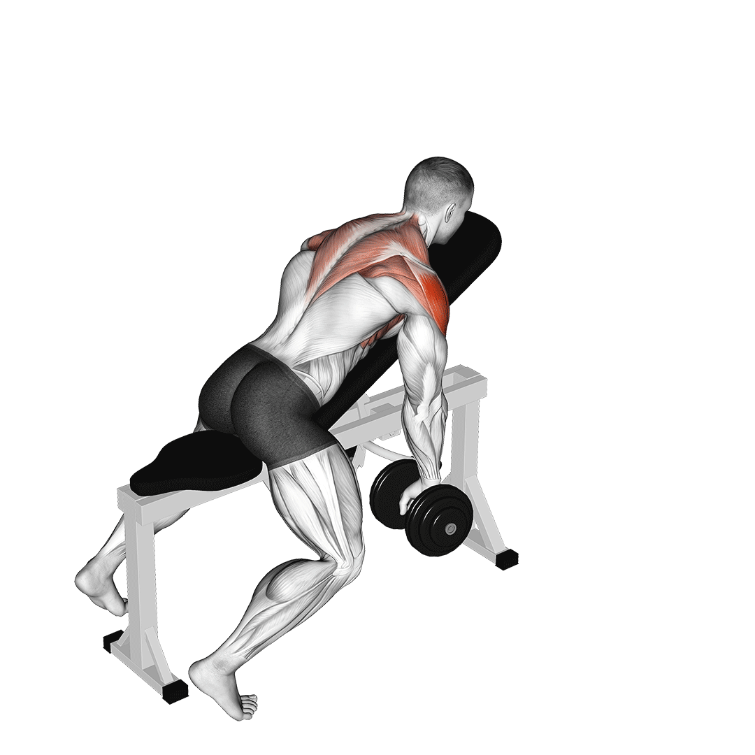 Dumbbell Incline Y-Raise demo