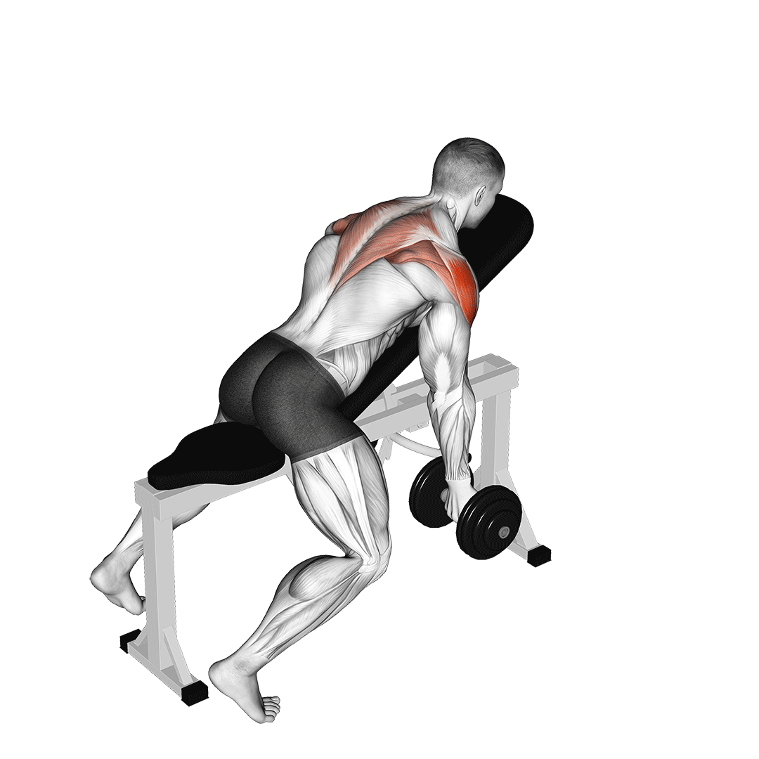 Dumbbell Incline T-Raise demo