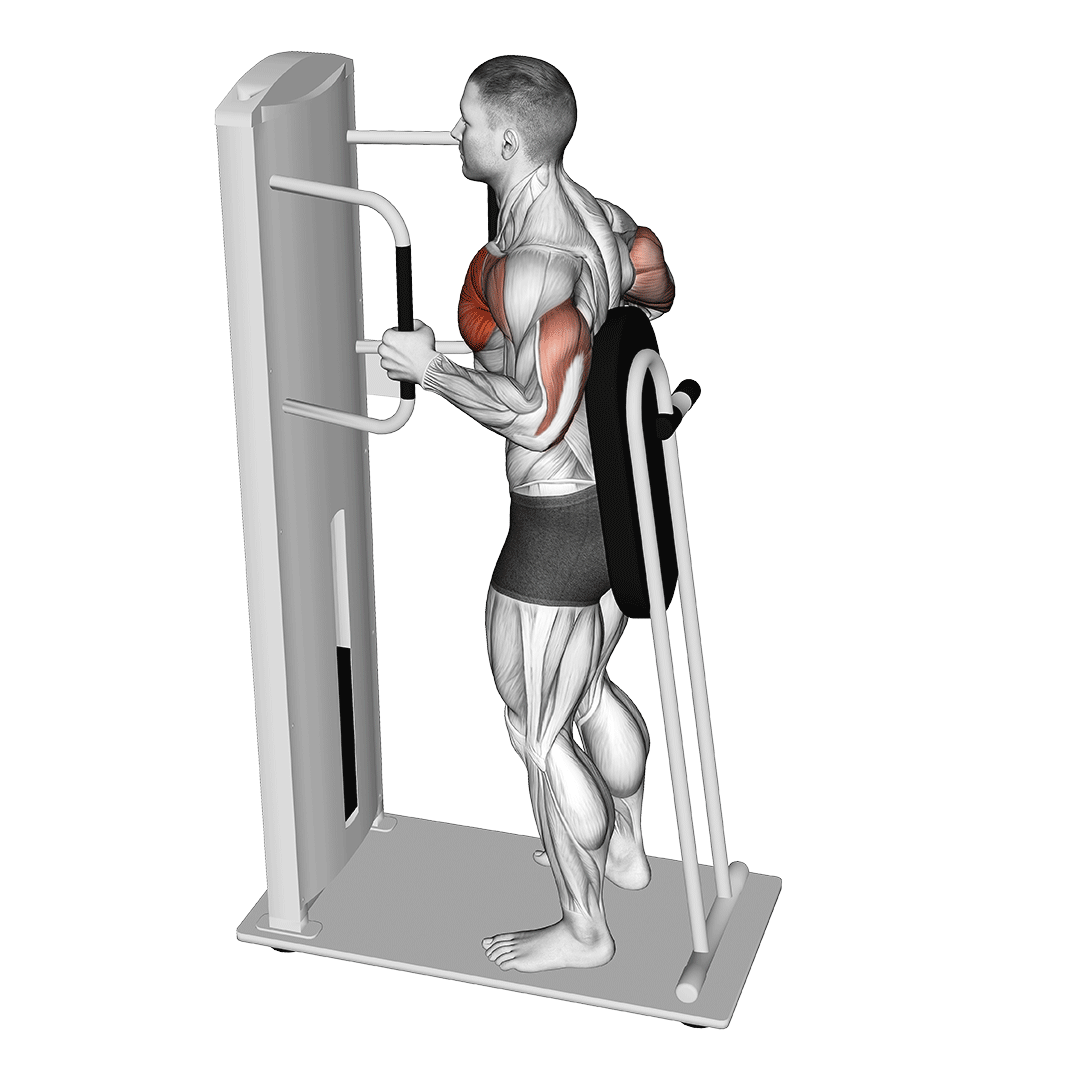 Lever Standing Chest Press demonstration